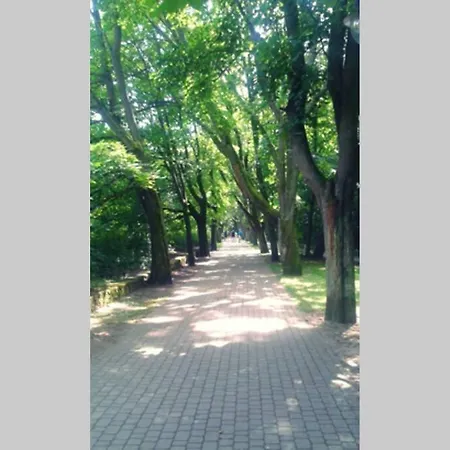 Sopot-12min Do Plazy I Aquaparku, Winda